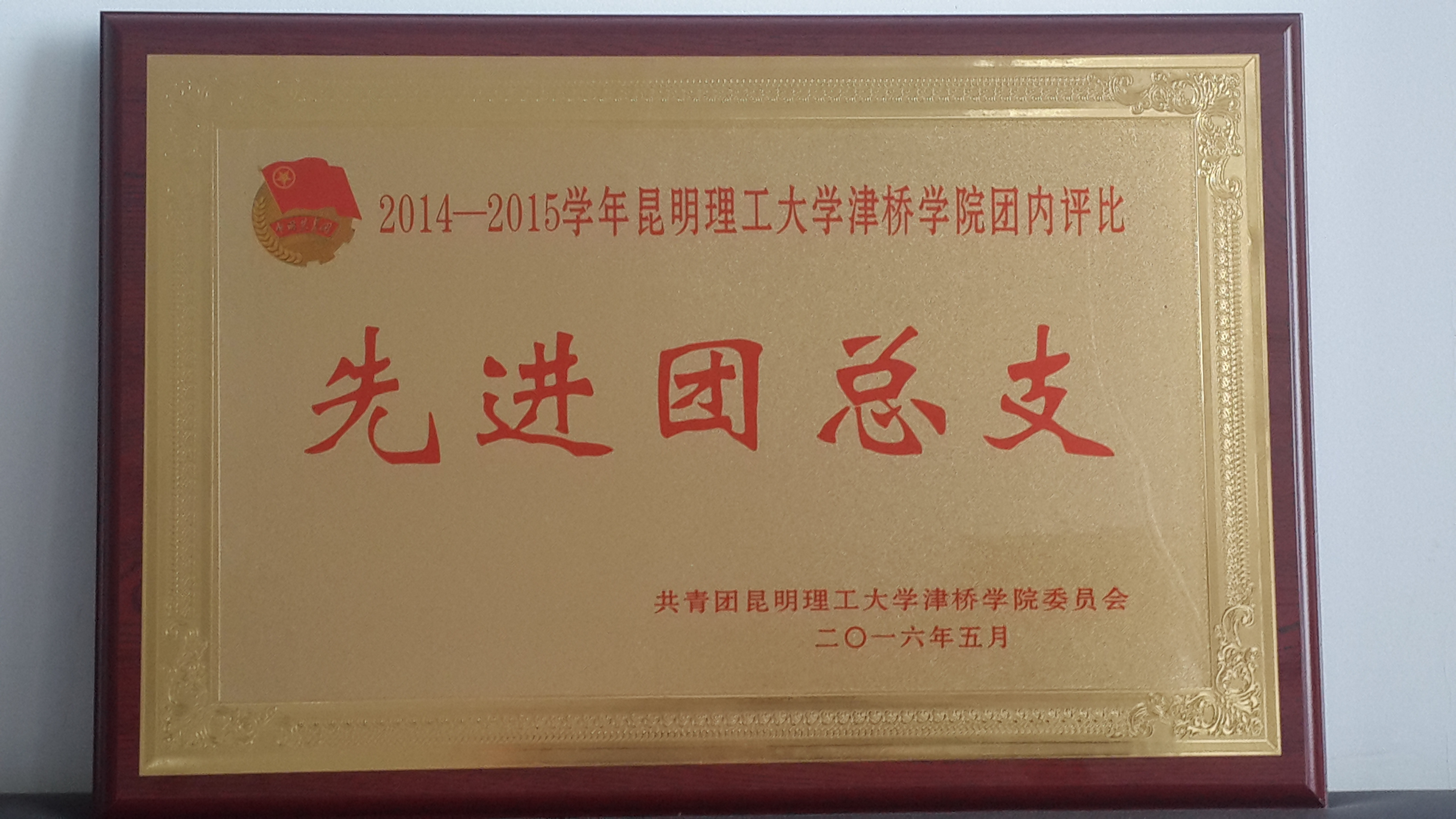先进团总支