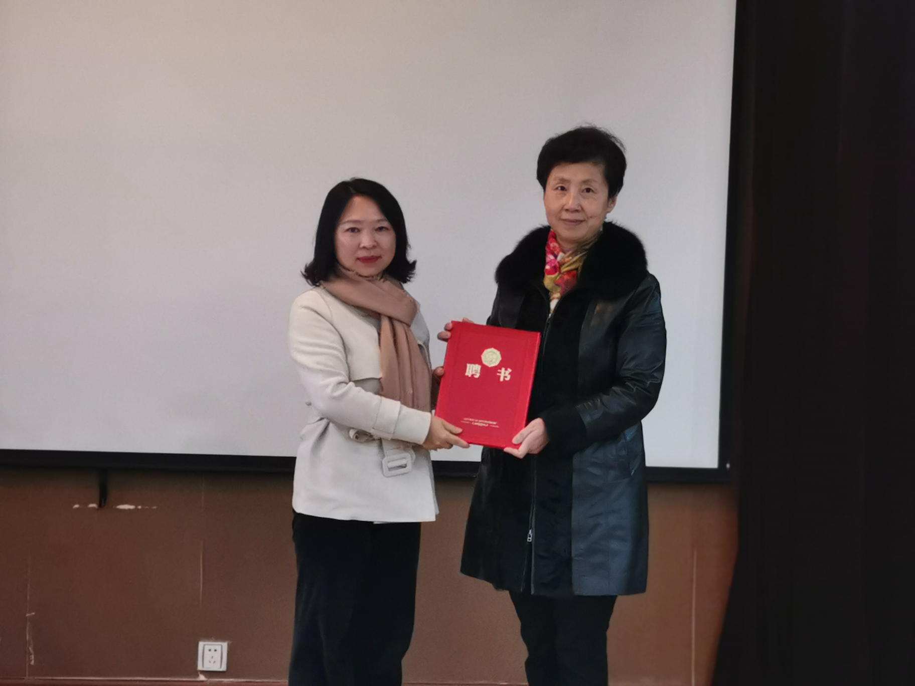 图片6